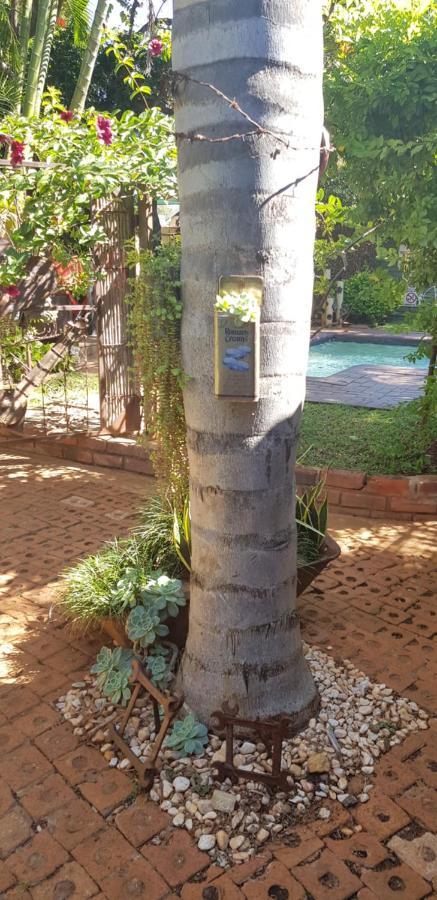 Africas Eden Guesthouse Mookgophong Ngoại thất bức ảnh